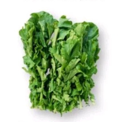 

Daun lobak organik (bebas pestisida)