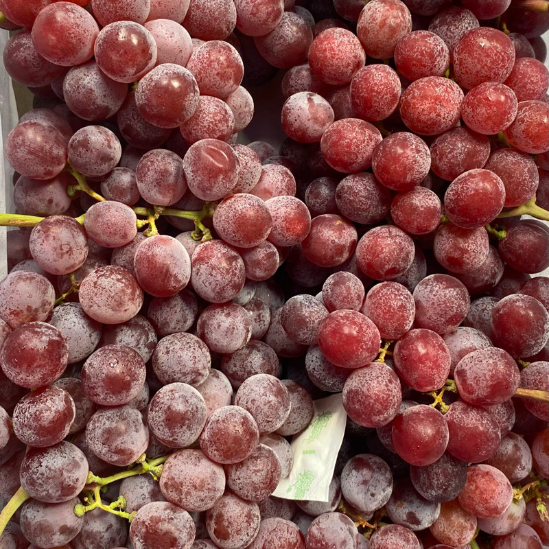 

Buah Anggur Merah Red Globe Anggur Red Globe KG