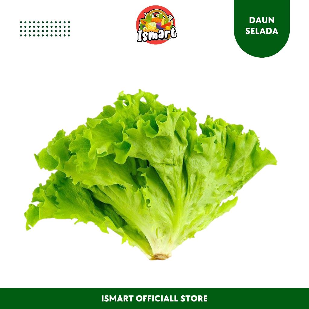

ISMART|Selada Organik (1 kg) Best Seller-Khusus Pengiriman Untuk JABODETABEK