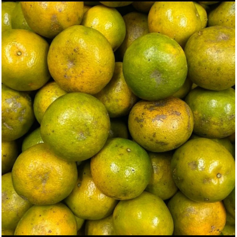 

jeruk keprok kupas/ jeruk siam manis segar fresh 1kg