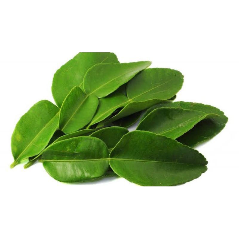 

DAUN JERUK LIMAU MURAH HERBAL KRW