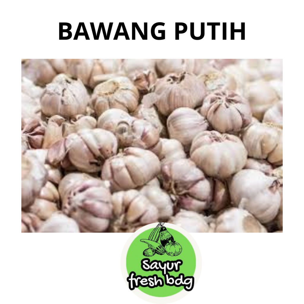 

BAWANG PUTIH / rempah-rempah / bumbu dapur