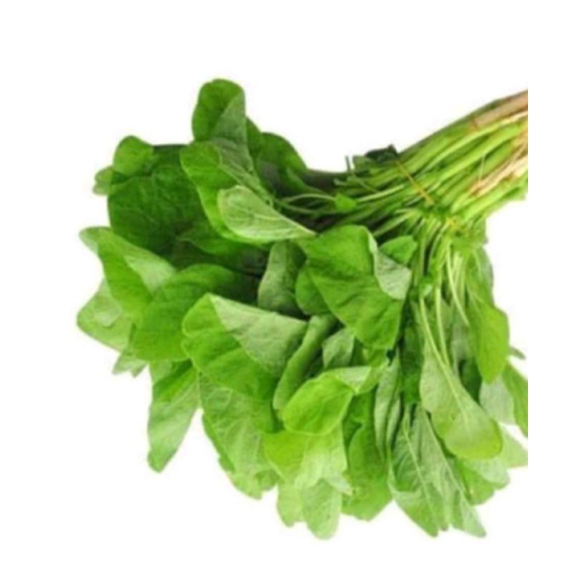 

sayur bayam