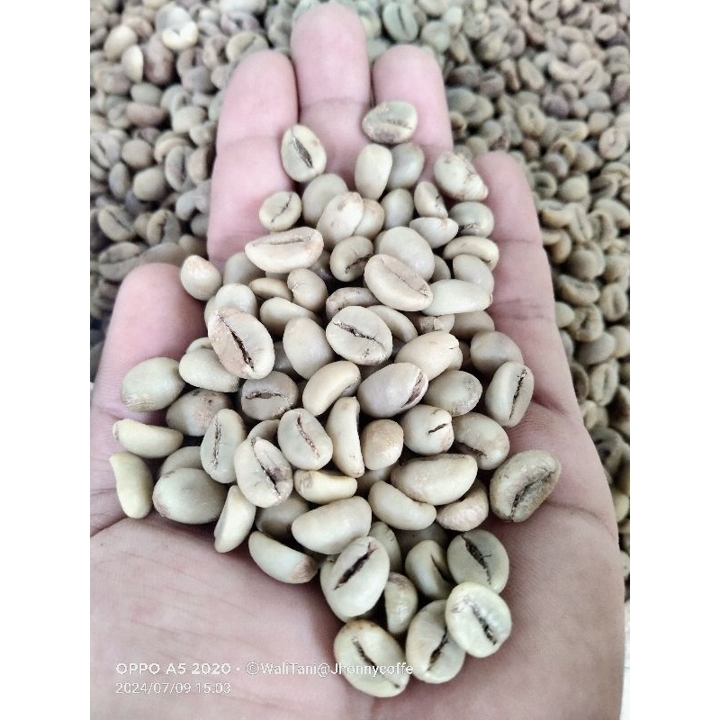 

Kopi Robusta Petik Merah dan grade1