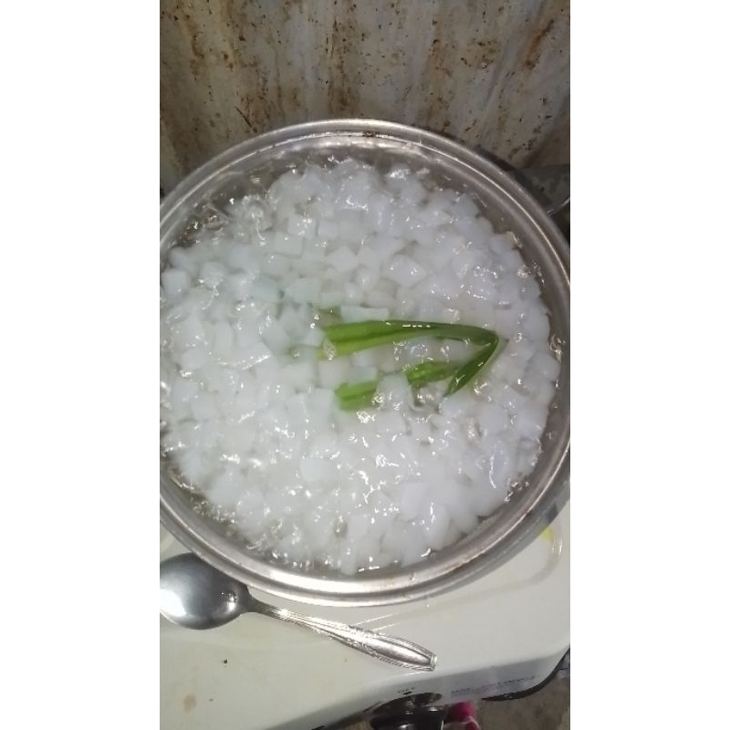 

Nata Decoco Santan