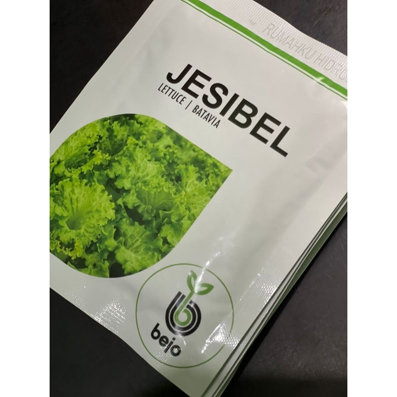Benih Jesibel 1000 pils | Bejo | Selada | Bibit Hidroponik