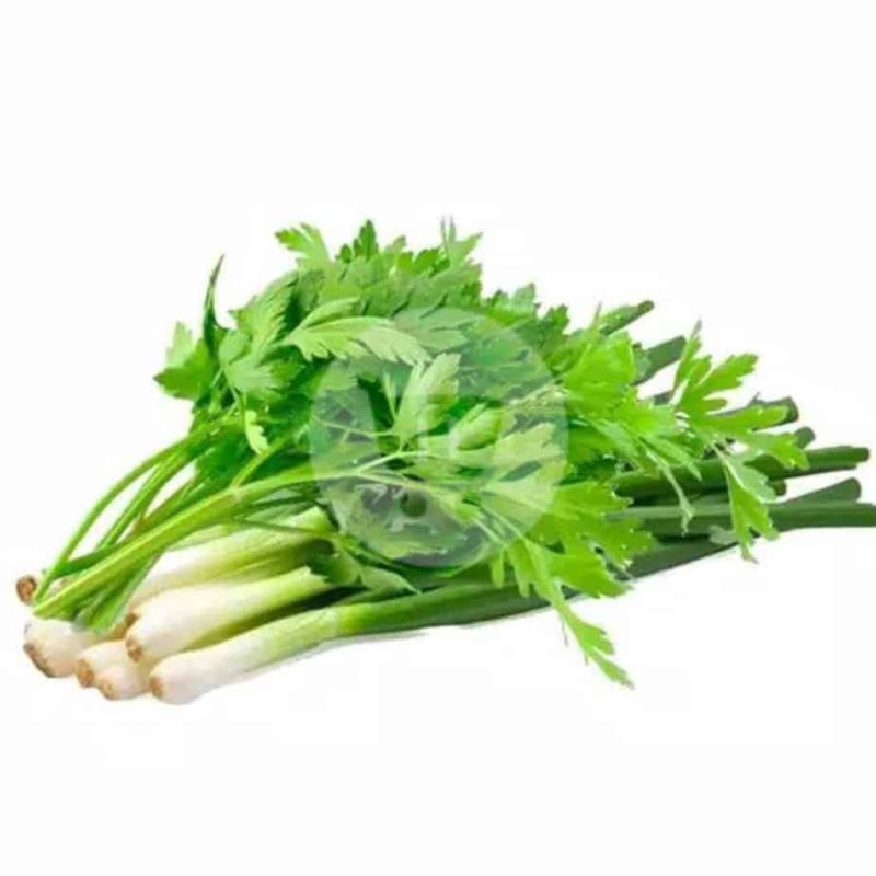 

daun bawang seledri250grm