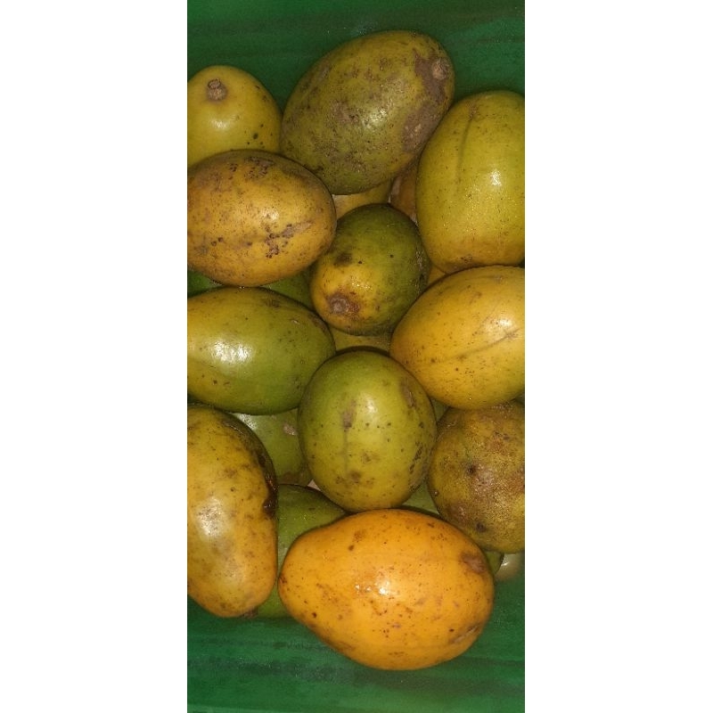 

kedondong tua/matang 1 kg