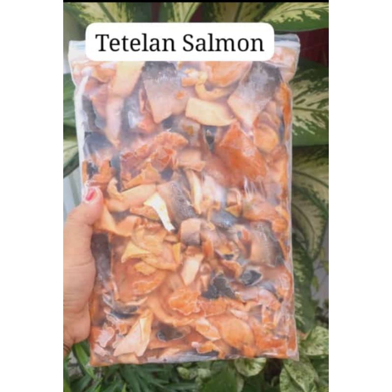 

TETELAN SALMON