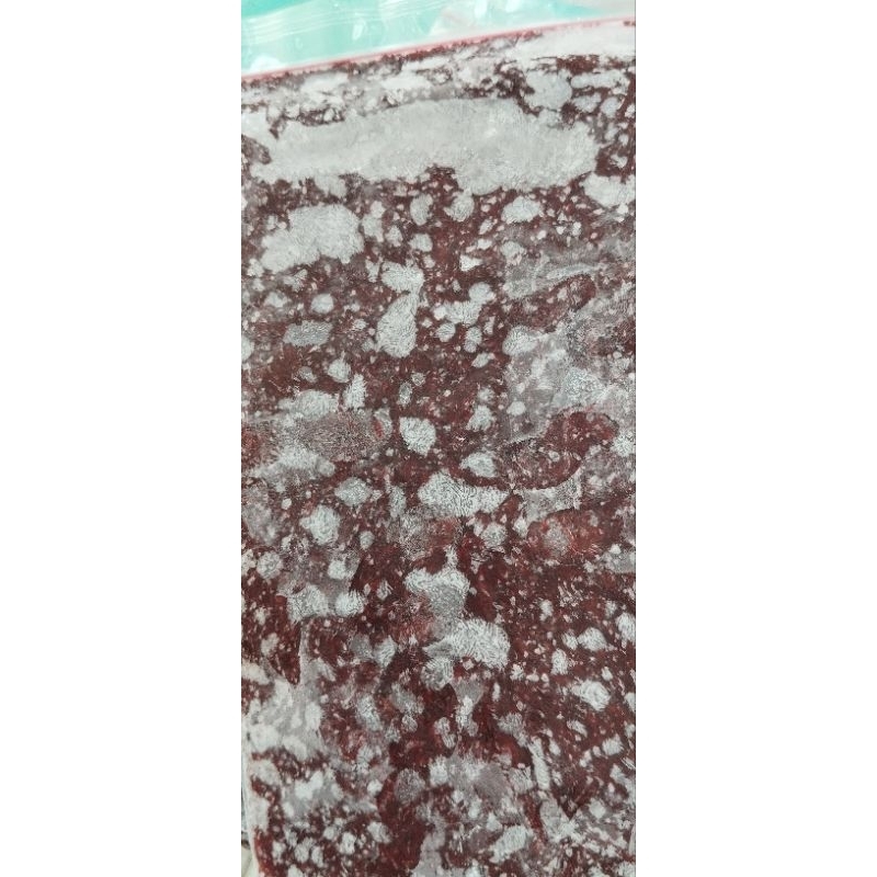 Cacing beku @250gram | Cacing Darah