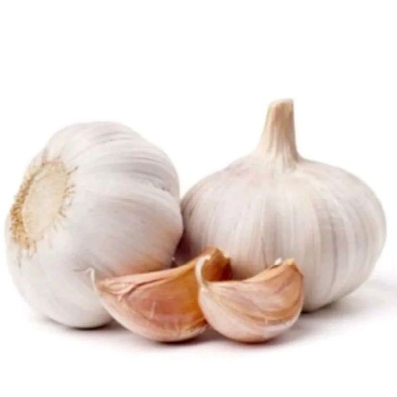 

Bawang putih kating / bawang putih kateng / garlic premium
