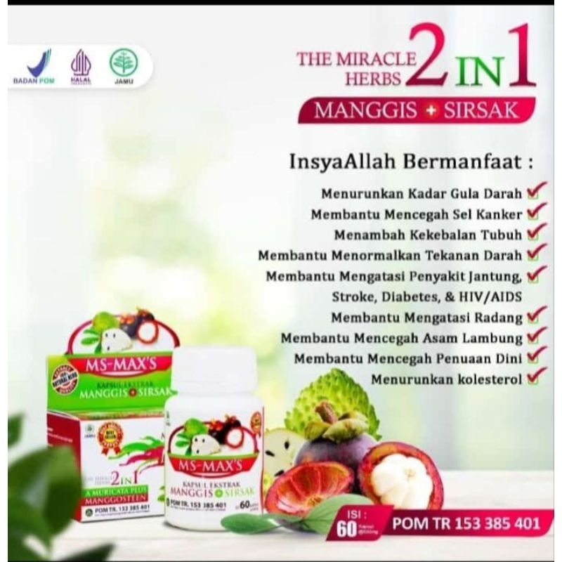 Kapsul Ms Max's Ekstrak Kulit Manggis Daun Sirsak Akar Bajakah Temu Putih Keladi Tikus Mengobati Can