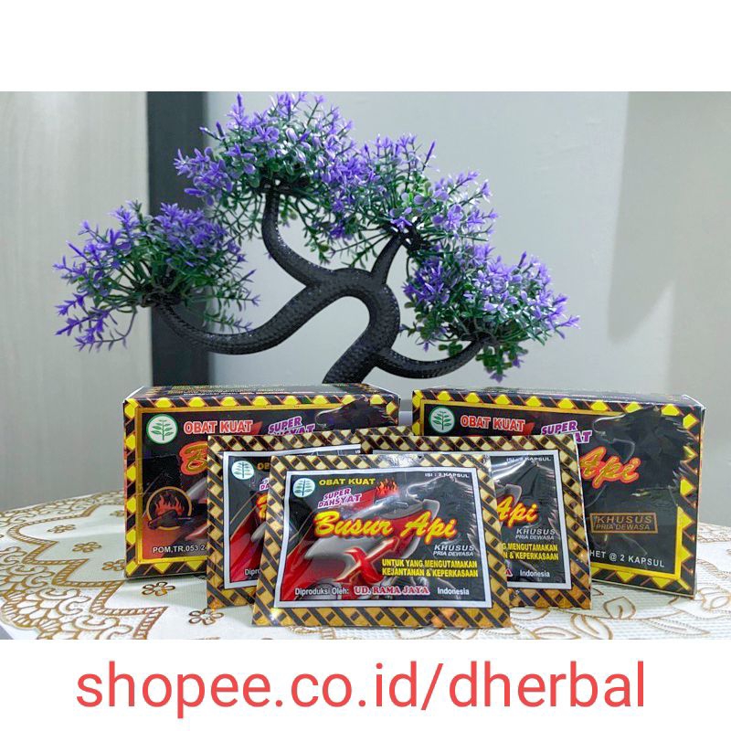 BUSUR API X ORIGINAL