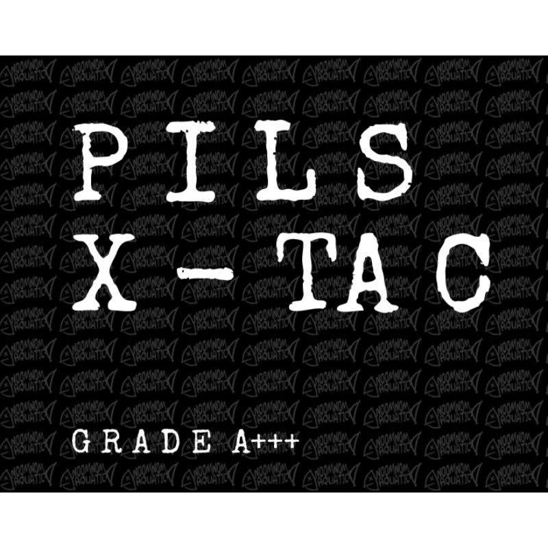 pakan ikan ( PILL'S X TA - C ) for CHANA RED / YELLOW MARU