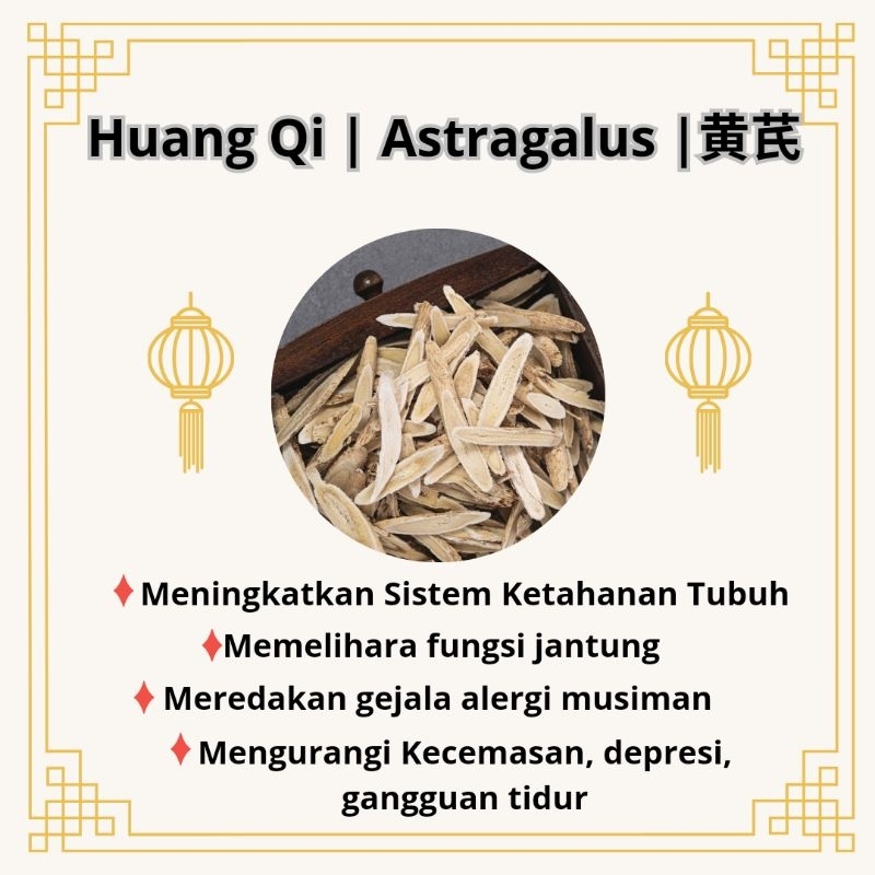 

Huang Qi [ 50 gr ] | Astragalus | 黄芪