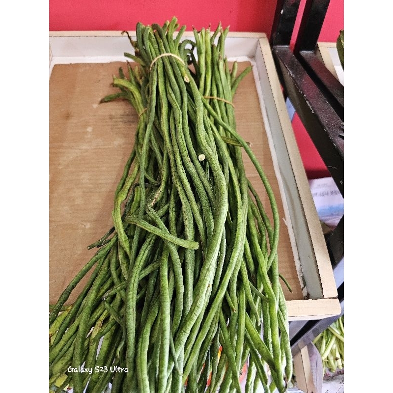 

Kacang panjang 500gr