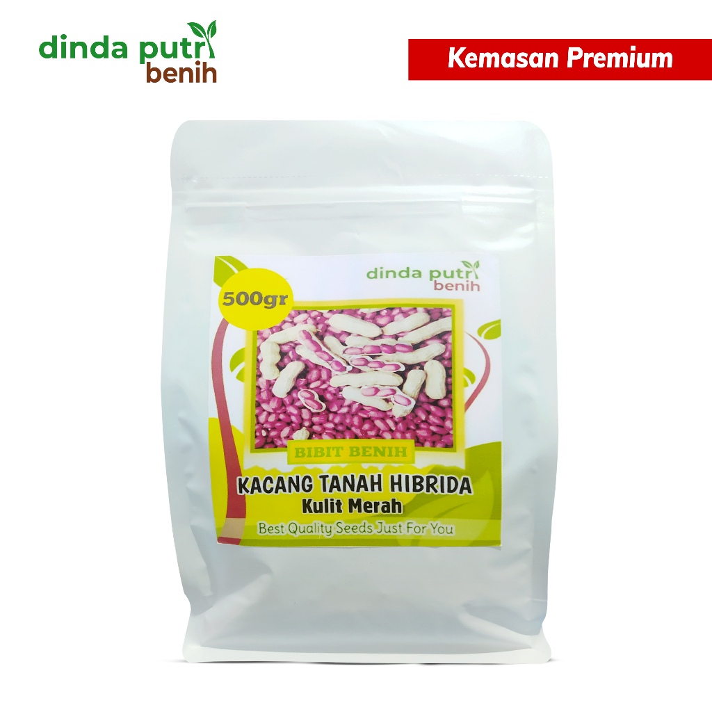 bibit/benih kacang tanah hibrida kulit merah  varietas gajah/500gram (new packaging) benih kacang ta