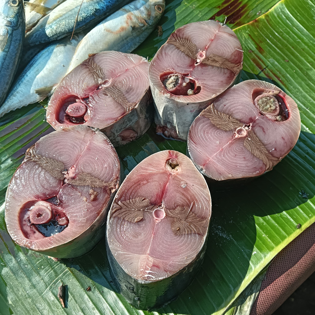 

Ikan Tongkol Potong Segar 1 Kg