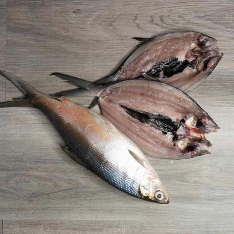 

Ikan Bandeng Cabut Duri Frozen - 250-300gr