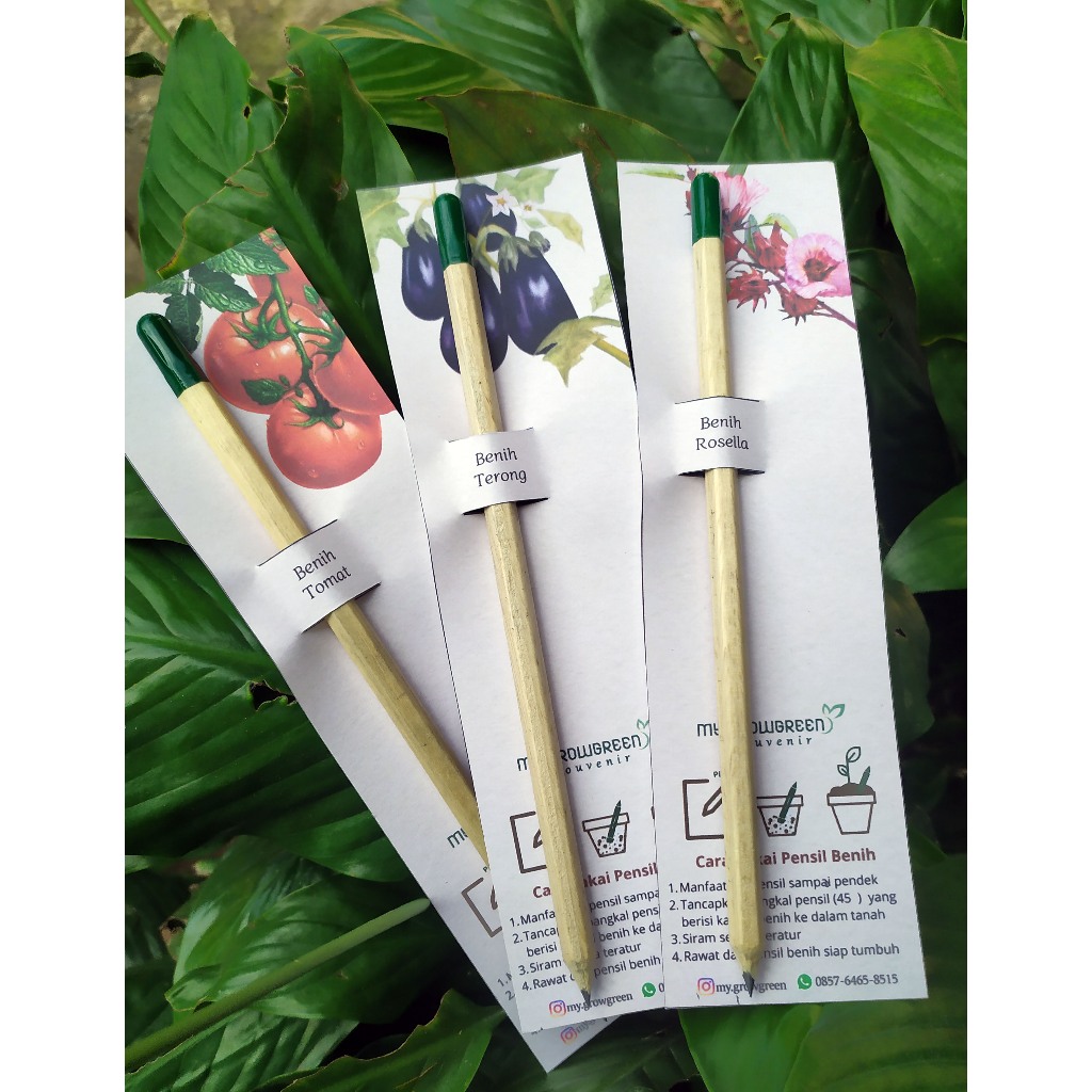 

[READY STOK] SOUVENIR PENSIL BENIH TANAMAN BENIH PENSIL TANAMAN PENSIL HB PENSIL 2B SOUVENIR PERNIKAHAN SOUVENIR ULTAH ANAK