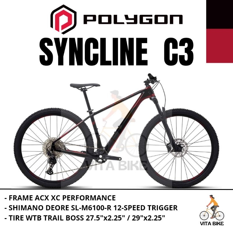 Sepeda Gunung MTB Polygon Syncline C3 Carbon