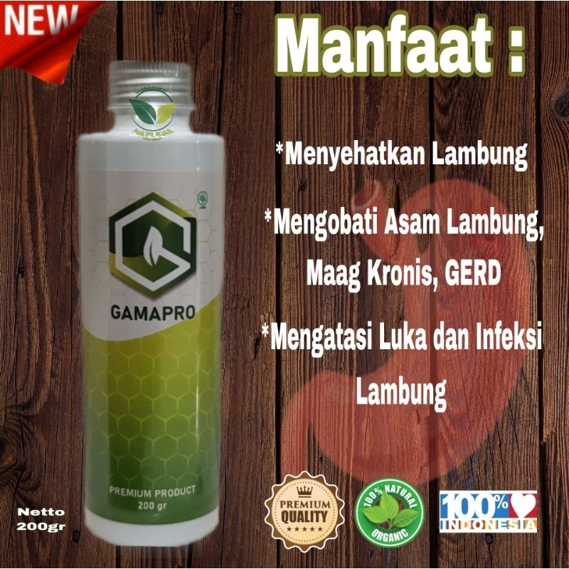 

MADU GAMAPRO ASLI || OBAT LAMBUNG DAN GERD || ORIGINAL 100%