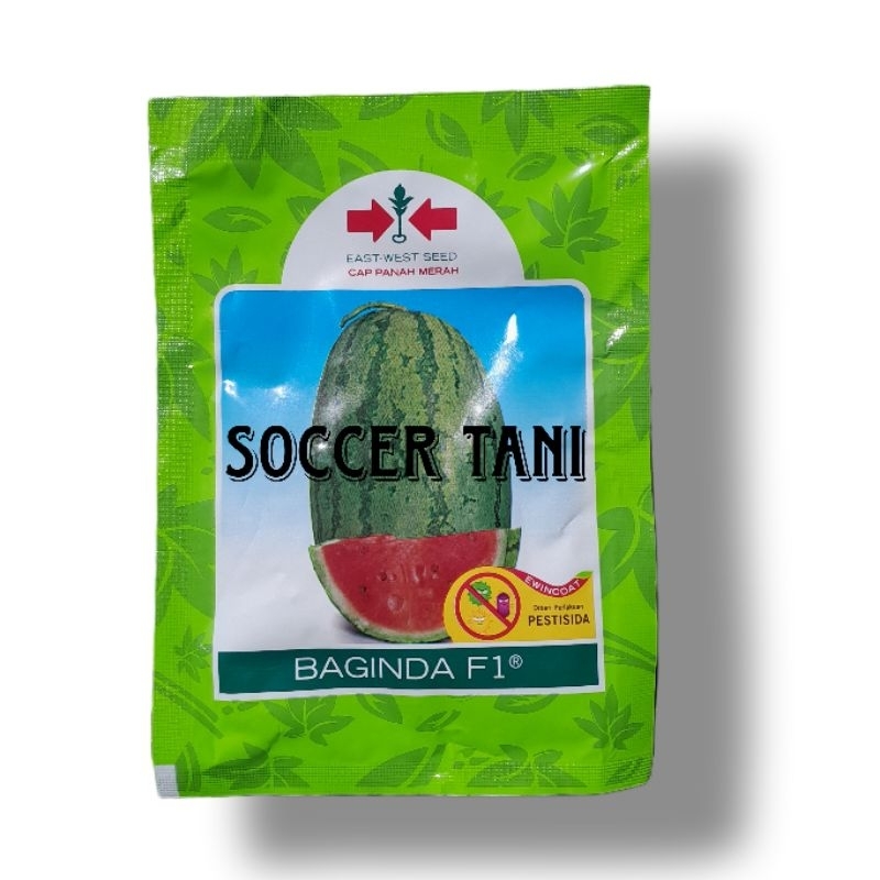 Benih Semangka BAGINDA F1 isi 360 Butir