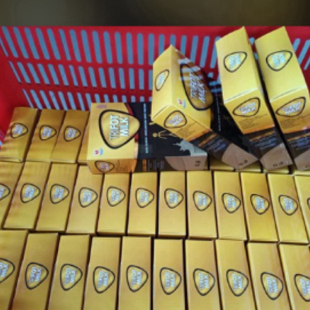 

Trifot susu gemuk badan manjur