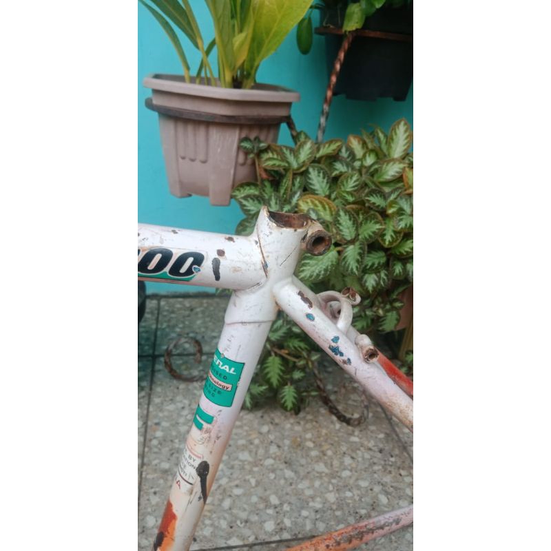 frame set sepeda federal street cat 2000