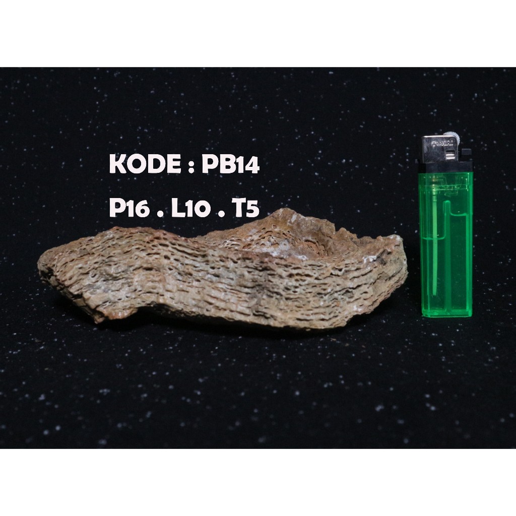 POT BONSAI BAHAN BATU (PB14)