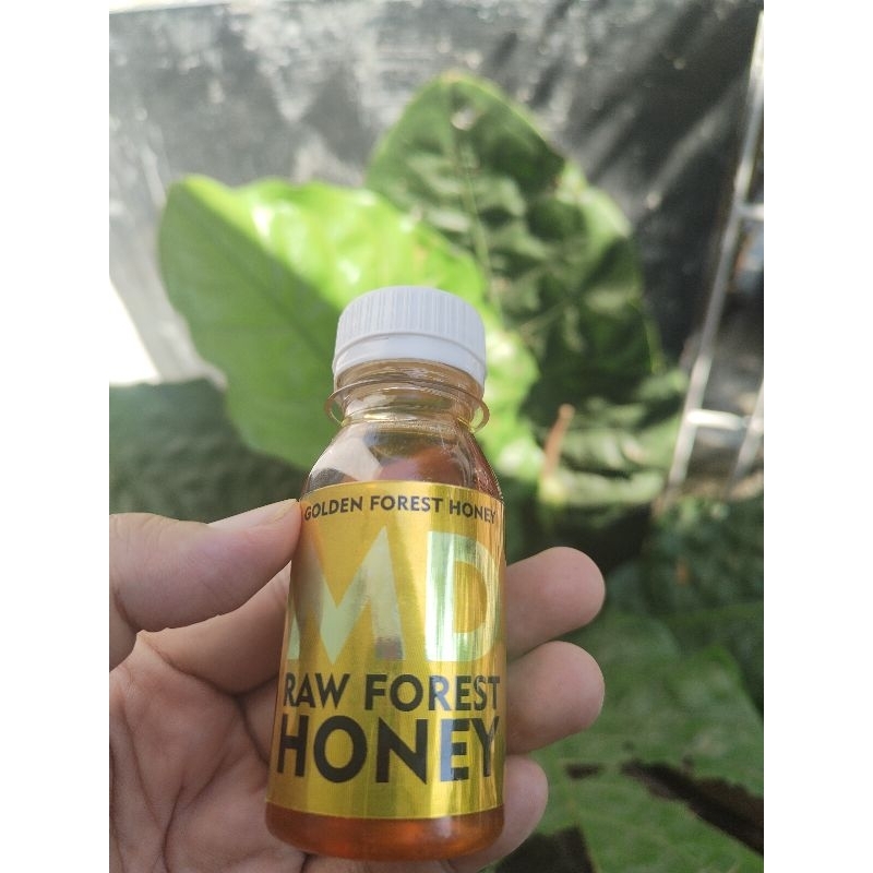

MD Forest Honey kemasan 80ml. PROMO BELI 1 GRATIS 1