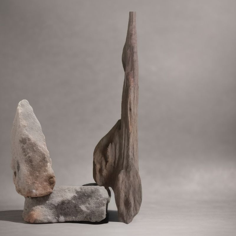 GAHARU BUAYA/GAHARU KALIMANTAN