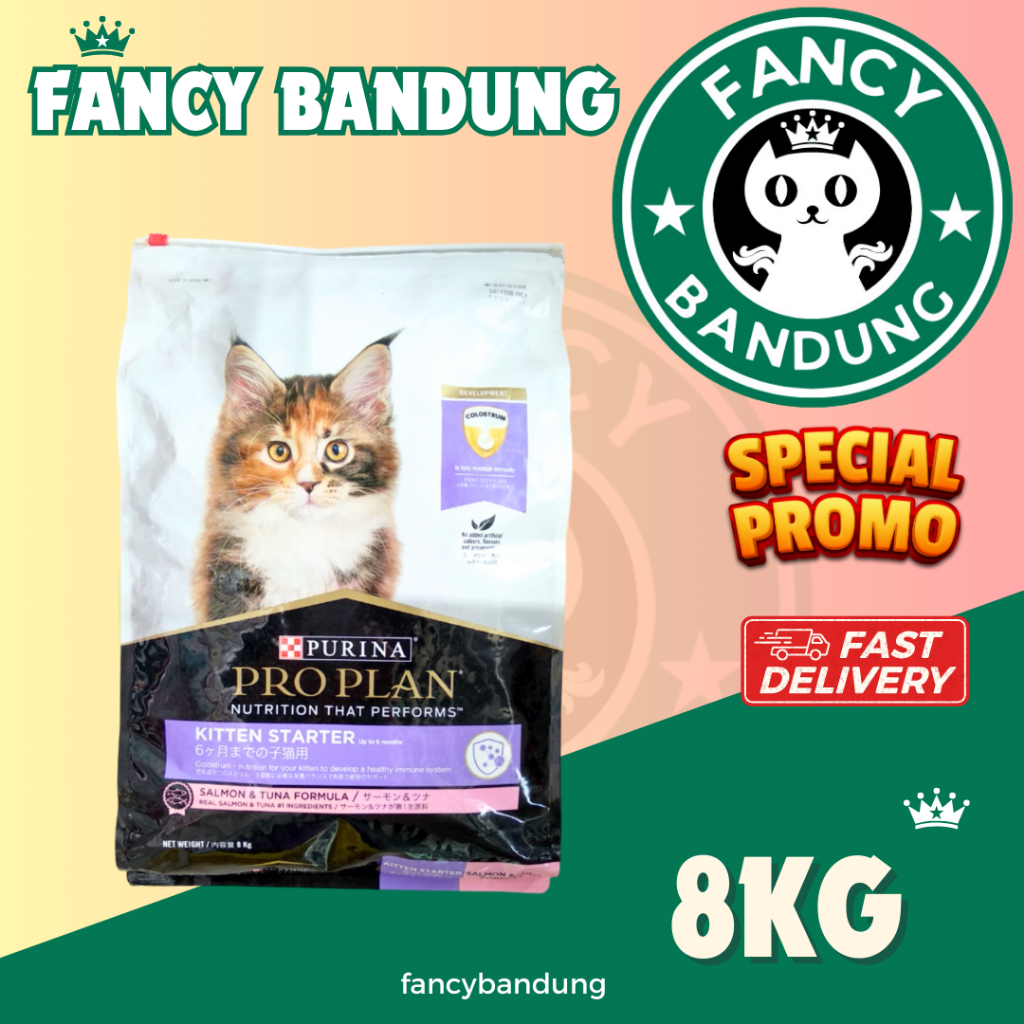 PROPLAN KITTEN STARTER 8 KG EKSPEDISI