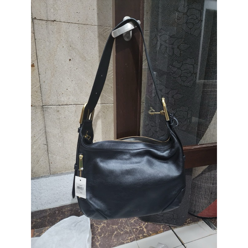 TAS FOSSIL HANNAH HOBO
