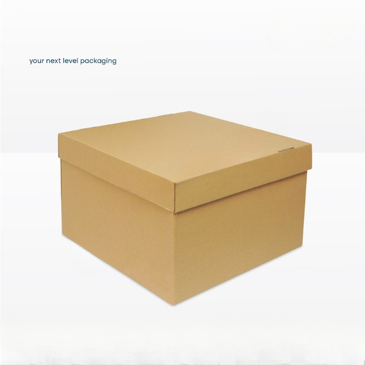 

(10 pcs)box packaging boneka dus hampers parcel kardus buah cake tart 40x40x25cm