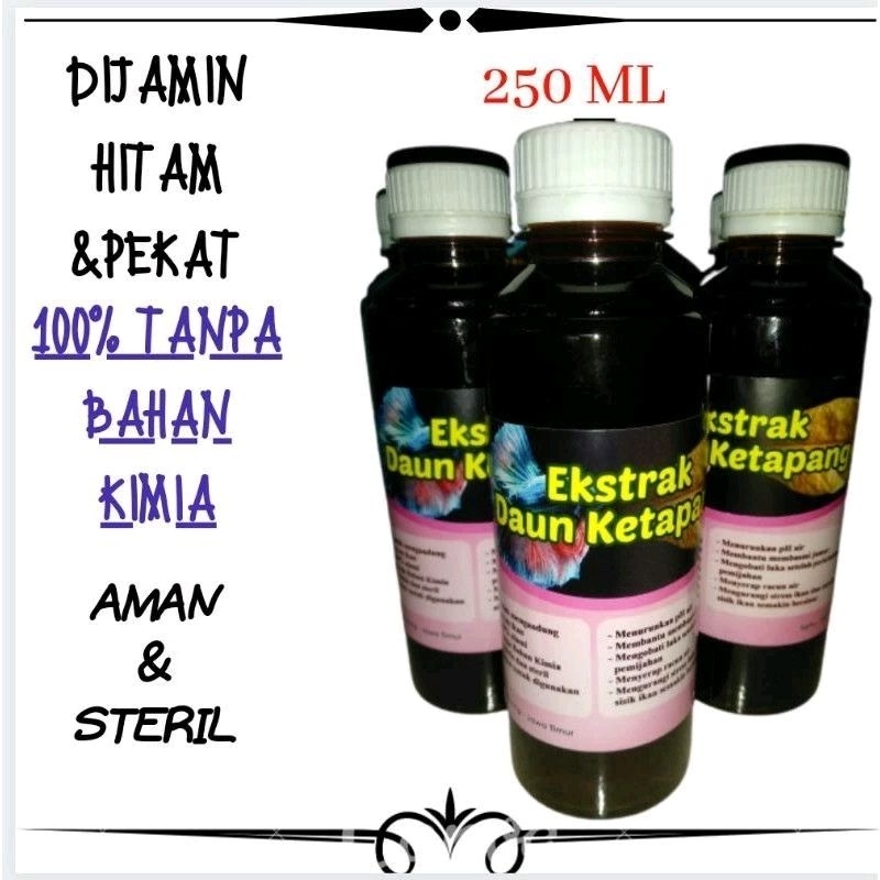 Ekstrak daun ketapang