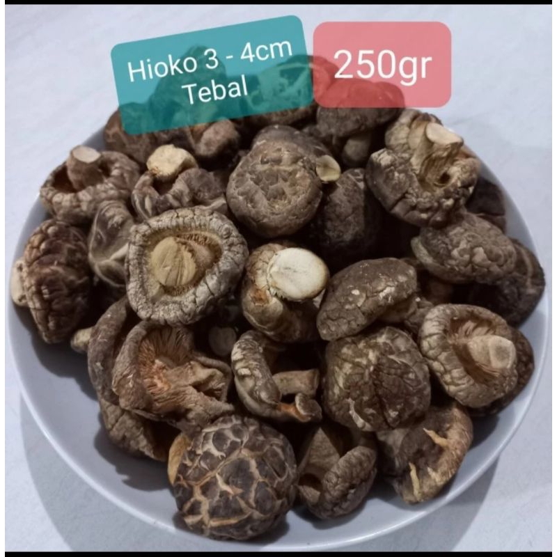 

Jamur Hioko Shitake (Tebal) ukuran 3 - 4cm