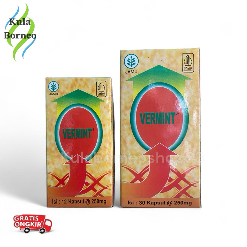 Vermint Ekstrak Cacing - Obat Typus