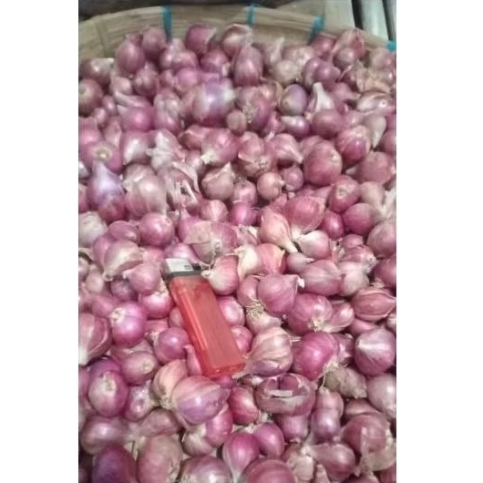 

Bawang Merah Kering 1kg | Bawah merah Probolinggo| Bawang Bumbu