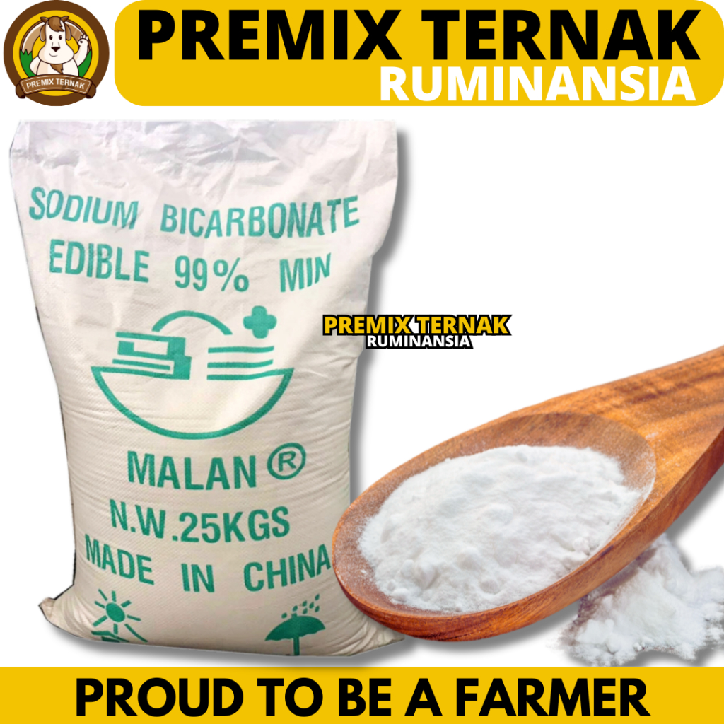 

SODA KUE 25KG - SODIUM BICARBONATE 25KG (1 SAK) - BAKING SODA - Baking Soda Food Grade