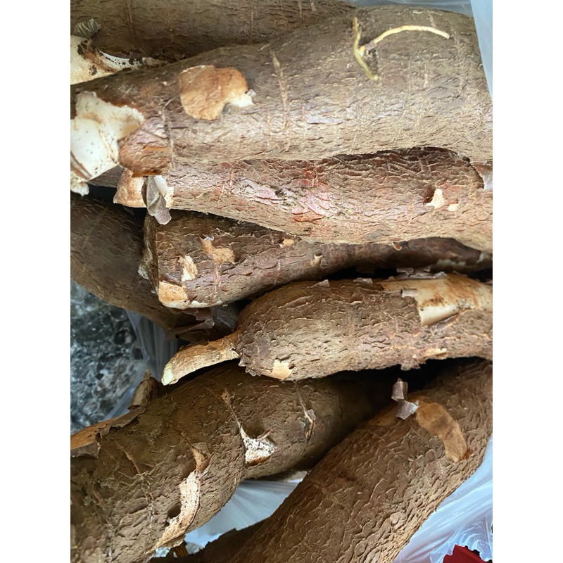 

KETELA POHON KEMASAN 1KG