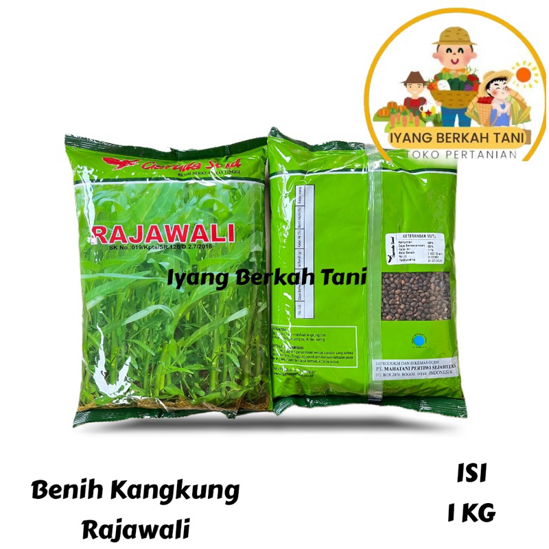 BENIH/BIBIT KANGKUNG RAJAWALI 1KG