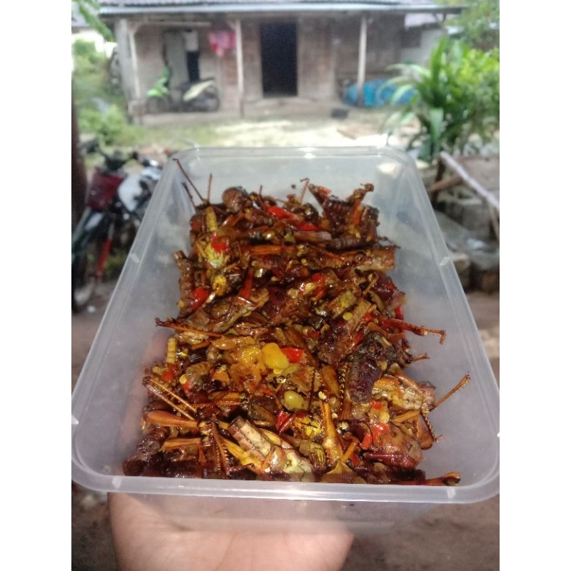 

walangkayugoreng