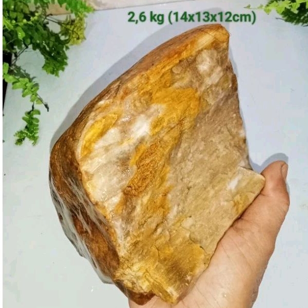 batu galih kelor kristal (487)