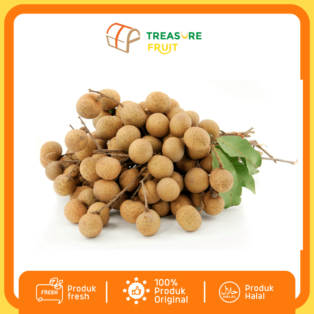 

LENGKENG Kualitas Premium I Treasure Fruit - Buah Sehat dan Segar