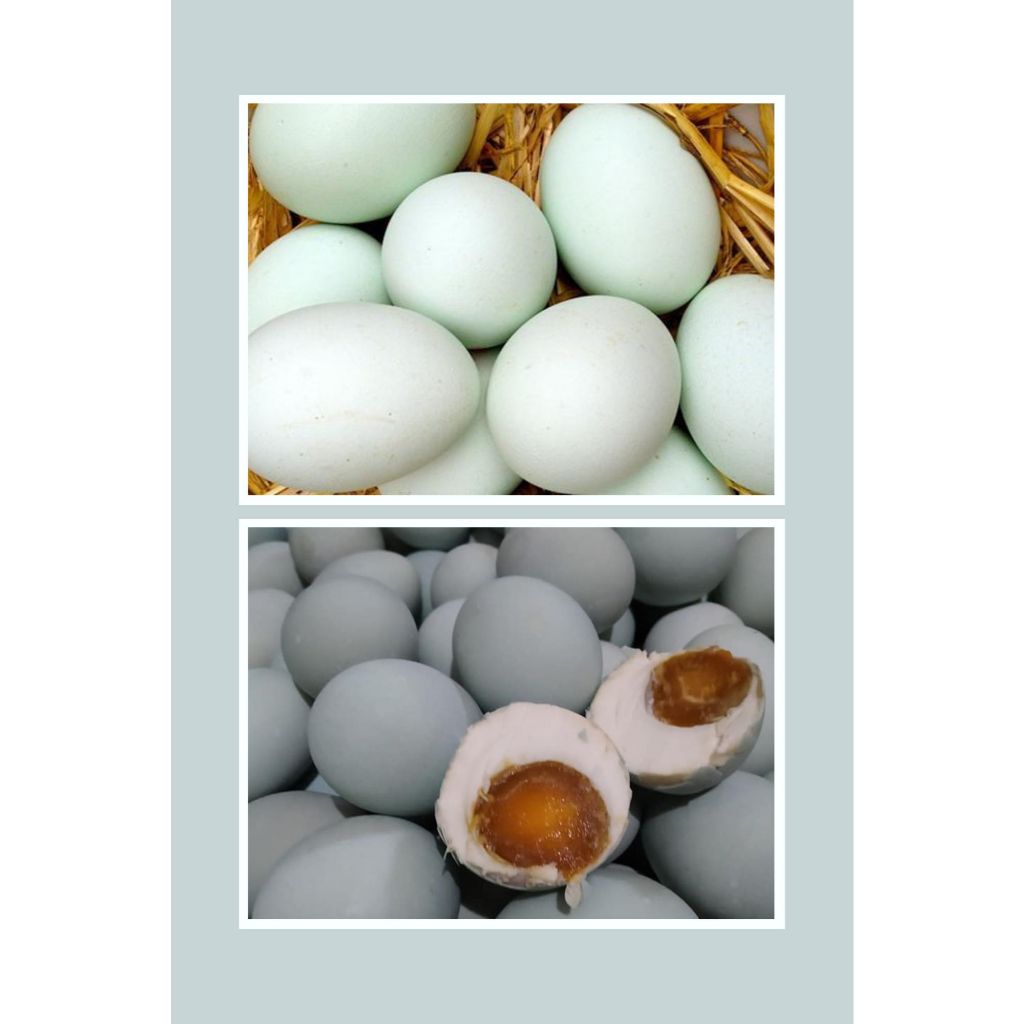 

Telur Asin Matang Premium Termurah