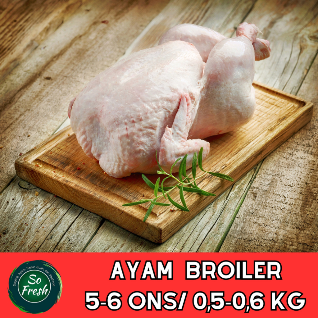 

AYAM BROILER KARKAS BEKU 5-6 ONS