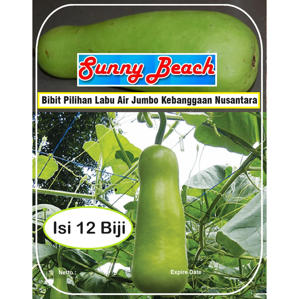 Bibit Pilihan Labu Air Jumbo Kebanggaan Nusantara | Biji Benih Labu Air Jumbo