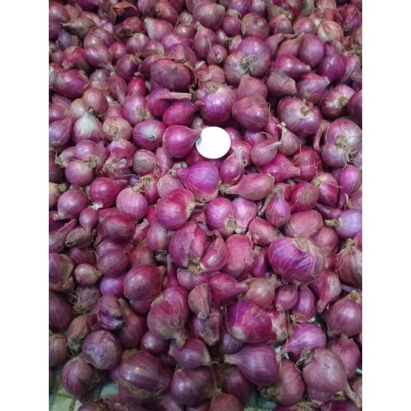 

Bawang merah 1kg