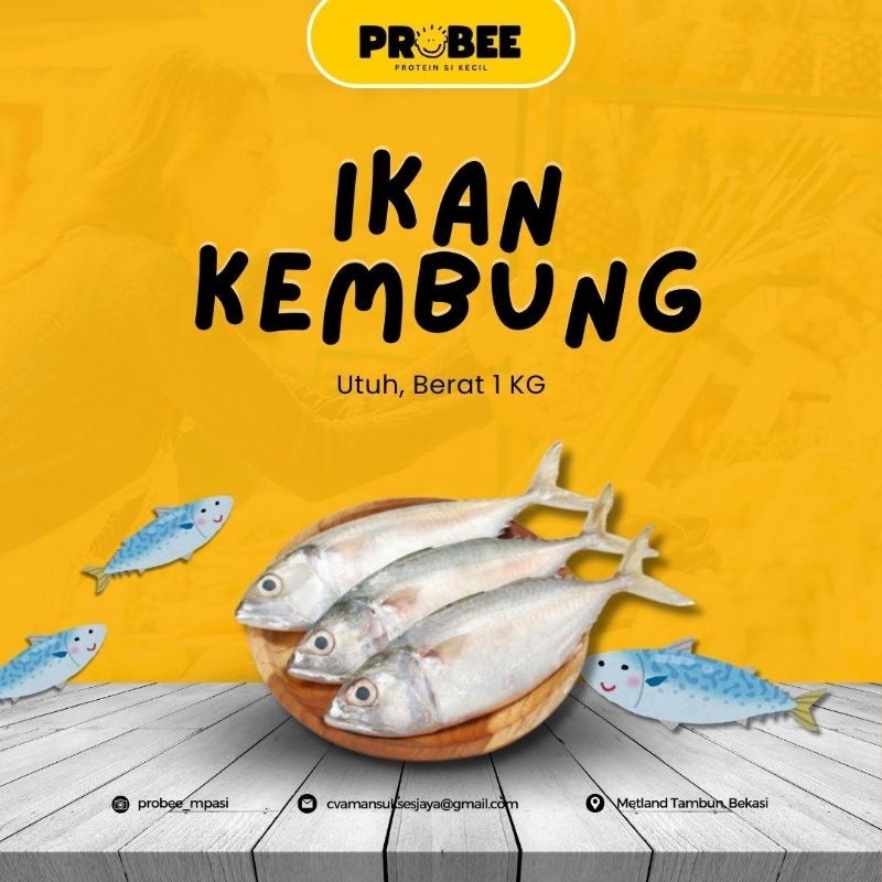 

Ikan Kembung Banjar Fresh Frozen 1Kg/Premium Fresh Termurah Halal